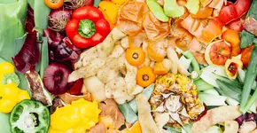 Foto: (lucentius/iStock)