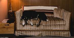 Fãs podem se hospedar em casa inspirada na série ‘Stranger Things’