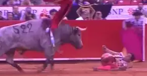 Foto: (Imagem sem texto alternativo disponivel ID [1358666])