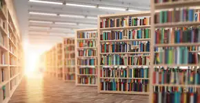 Foto: (Bet_Noire/iStock)