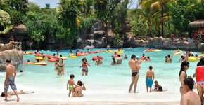 Foto: (Divulgação)