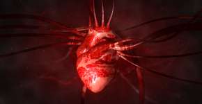 Foto: (Noctiluxx/istock)