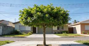 Foto: (Imagem sem texto alternativo disponivel ID [2704491])