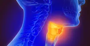 Foto: (iStock/Lars Neumann)