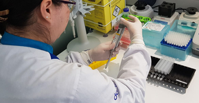 São Paulo terá teste de DNA gratuito; veja o que é preciso para fazer