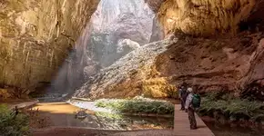 Foto: (Divulgação/ICMBio)