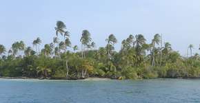 Foto: (Imagem sem texto alternativo disponivel ID [1867971])