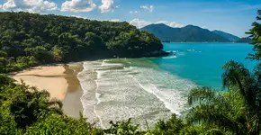 3 praias para conhecer em Ubatuba (SP)