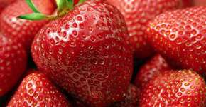 Foto: (Imagem sem texto alternativo disponivel ID [938535])