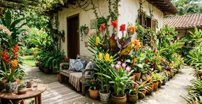 5 plantas rizomatosas com lindas flores para varandas, a melhor escolha para casa
