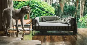 Foto: (Divulgação)