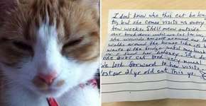 Foto: (Imagem sem texto alternativo disponivel ID [1100175])