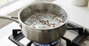 Foto: (Imagem gerada por IA/Gemini)