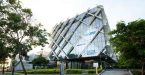 Foto: (Divulgação)