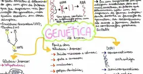 30 dicas do Catraca Livre para você GABARITAR no Enem