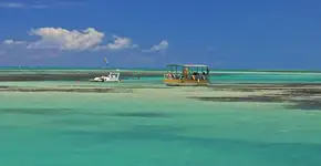 7 praias em Alagoas para ir no verão além de Maceió