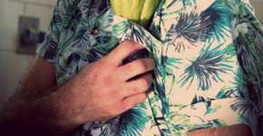 Mate a fome com o aplicativo do “Larica Total”