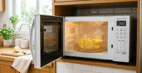 Foto: (Imagem sem texto alternativo disponivel ID [2771234])