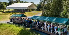 Foto: (Divulgação)