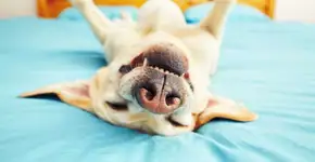 9 problemas de saúde causados pela falta de sono