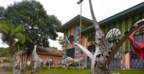 Foto: (Imagem sem texto alternativo disponivel ID [2246390])