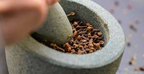 Foto: (simonkr/istock)