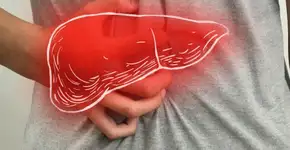 Estes são os sintomas de gordura no fígado