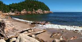 Empresa em Ilha no Canadá oferece terra e emprego