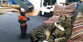 App gratuito incrível coloca hologramas nas suas fotos e vídeos