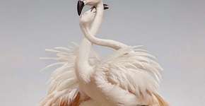 Foto: (Imagem sem texto alternativo disponivel ID [709820])