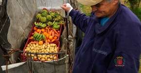 Curitiba troca lixo reciclável por frutas e verduras
