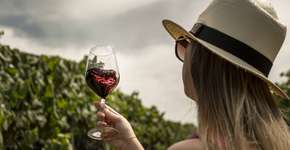 Vindima na Serra Gaúcha é opção para fugir do Carnaval