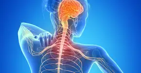 Foto: (Getty Images/iStockphoto)