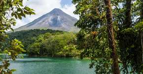 Foto: (Imagem sem texto alternativo disponivel ID [1867133])