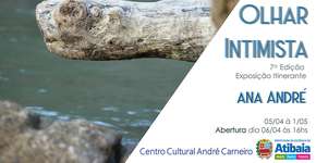 Foto: (Imagem sem texto alternativo disponivel ID [1847241])