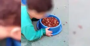 Foto: (Reprodução)