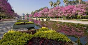 Foto: (Imagem sem texto alternativo disponivel ID [1869423])