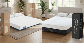 Foto: (Imagem gerada por IA/Gemini)