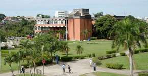 Foto: (Divulgação)