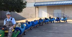 Idoso constrói trem para passear com seus cães resgatados da rua
