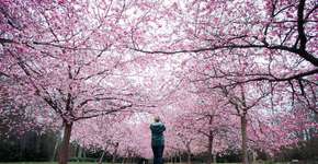 Foto: (Imagem sem texto alternativo disponivel ID [1848755])