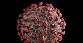 Foto: (Creative Thinking/istock)