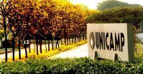 Unicamp oferece curso de empreendedorismo à distância