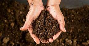 Foto: (Imagem sem texto alternativo disponivel ID [1896055])