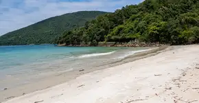 Foto: (Istock/Yerko Hernandez)