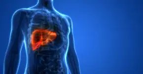 Entenda por que hematêmese pode significar sinal de dano grave ao fígado