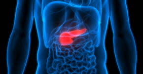 Saiba quais são os primeiros sinais de câncer de pâncreas?