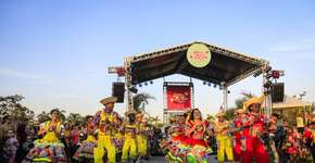 Arraiá do Museu do Pontal