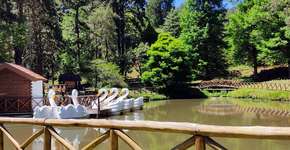 Horto Florestal é opção de passeio em Campos do Jordão