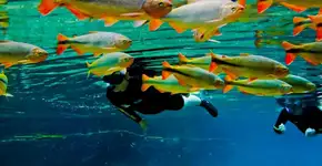 Pacote para Bonito (MS) com aéreo, hospedagem e café por R$ 734